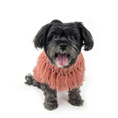 Huskimo Coachella Jumper