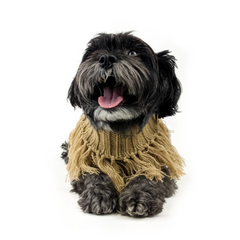 Huskimo Coachella Jumper