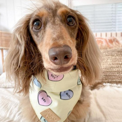 Pablo & Co Candy Hearts Bandana